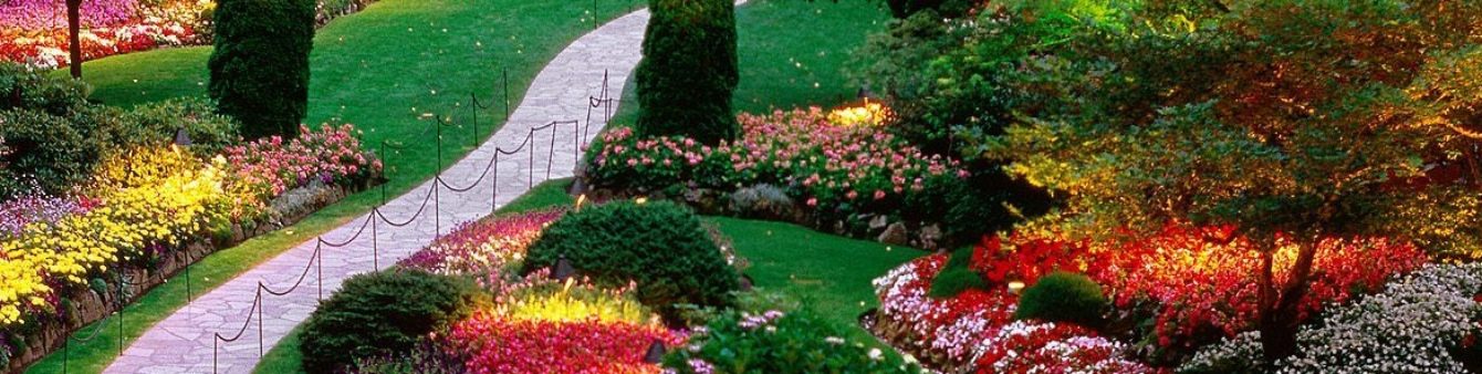 Charlottesville Home 
